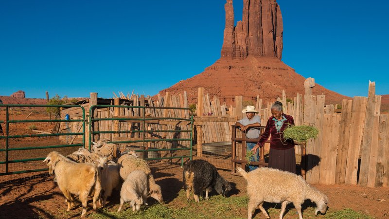 navajo_woman_feeding_herd.jpg__800x450_q85_crop_upscale